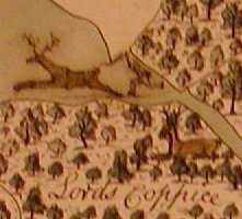 Detail from early modern map of Rockingham Forest