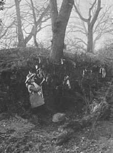 St Helen's Well, Walton near Tadcaster